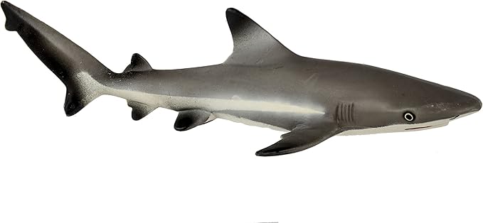 blacktip reef shark by safari 出品